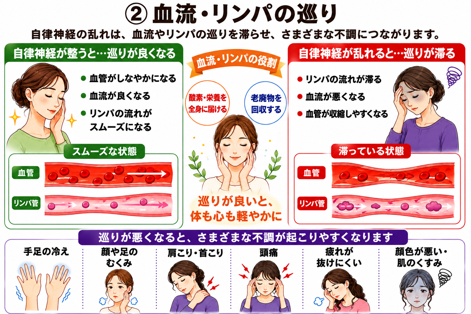 巡りと冷え・むくみ・こり・頭痛の関係