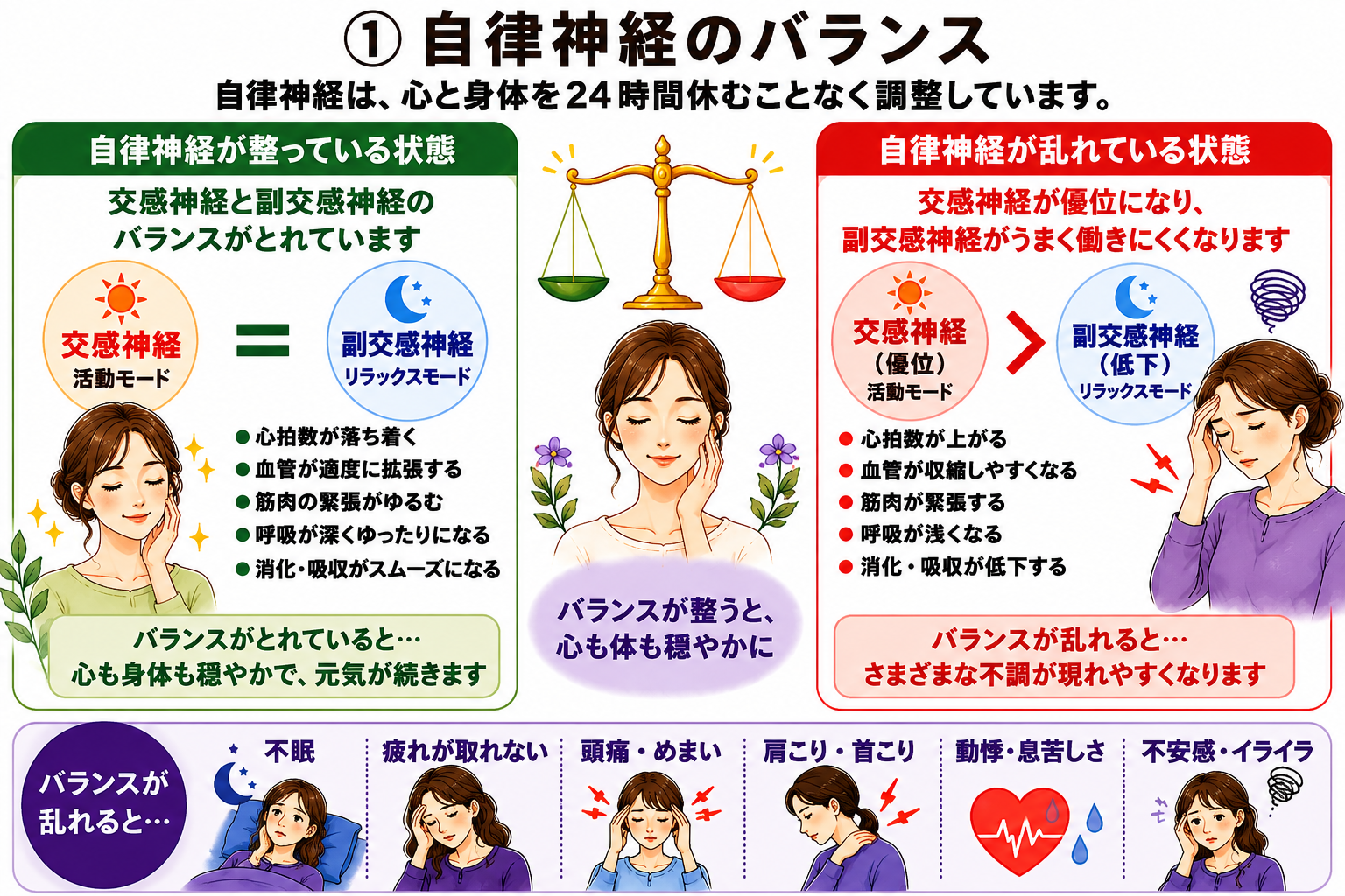 自律神経が呼吸・血流・体温・睡眠・内臓を調整する図