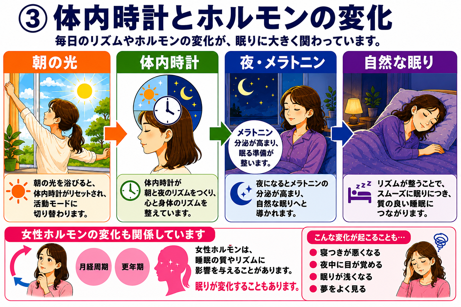 朝の光と体内時計、夜のメラトニンと眠りの関係