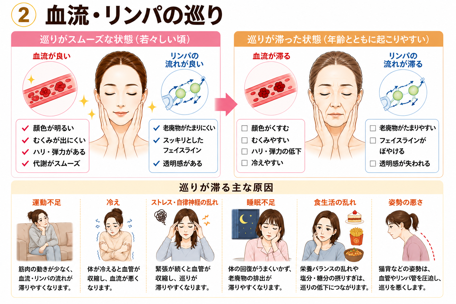 巡りの状態と肌の明るさや透明感の関係