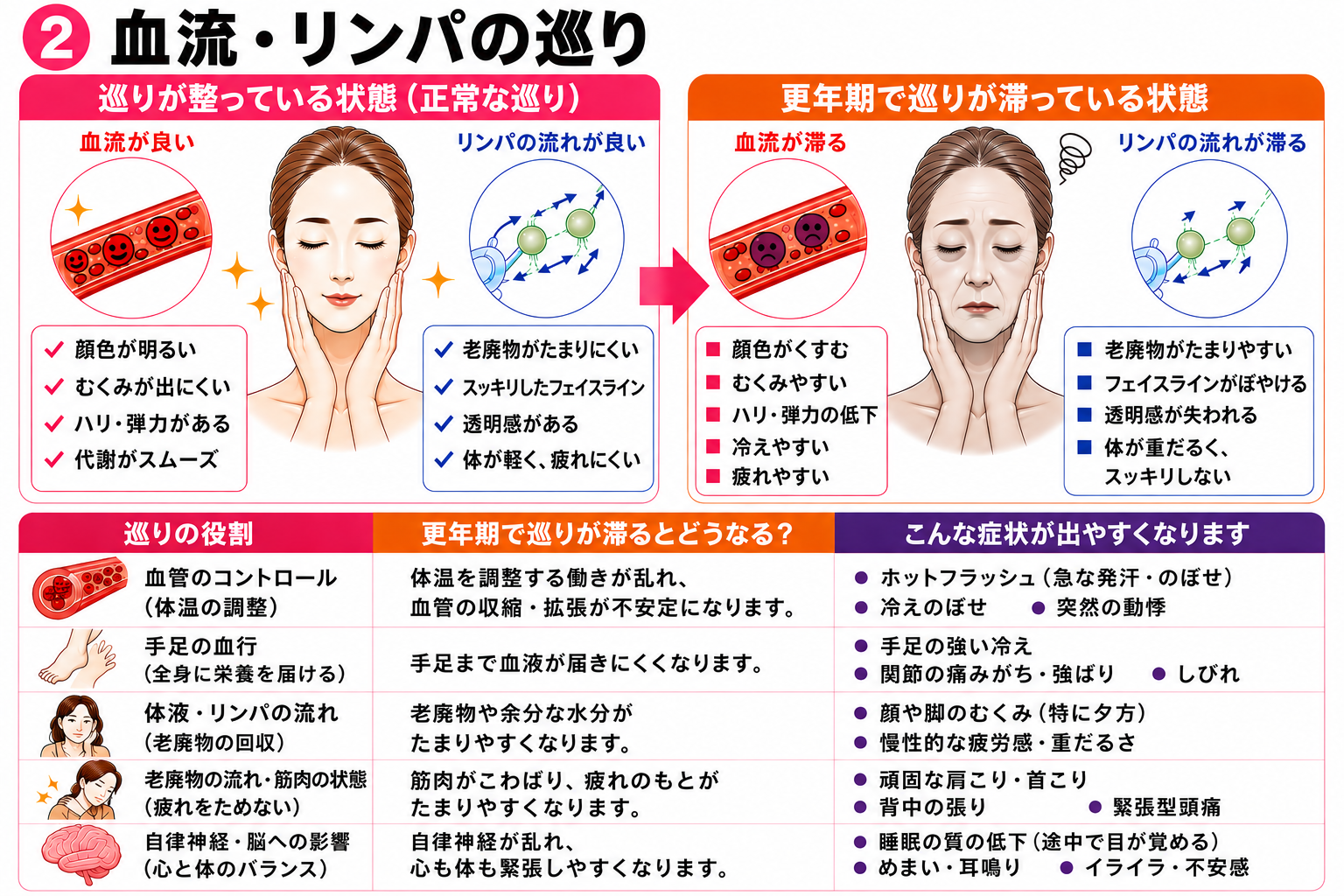 巡りと冷え・むくみ・疲労の関係