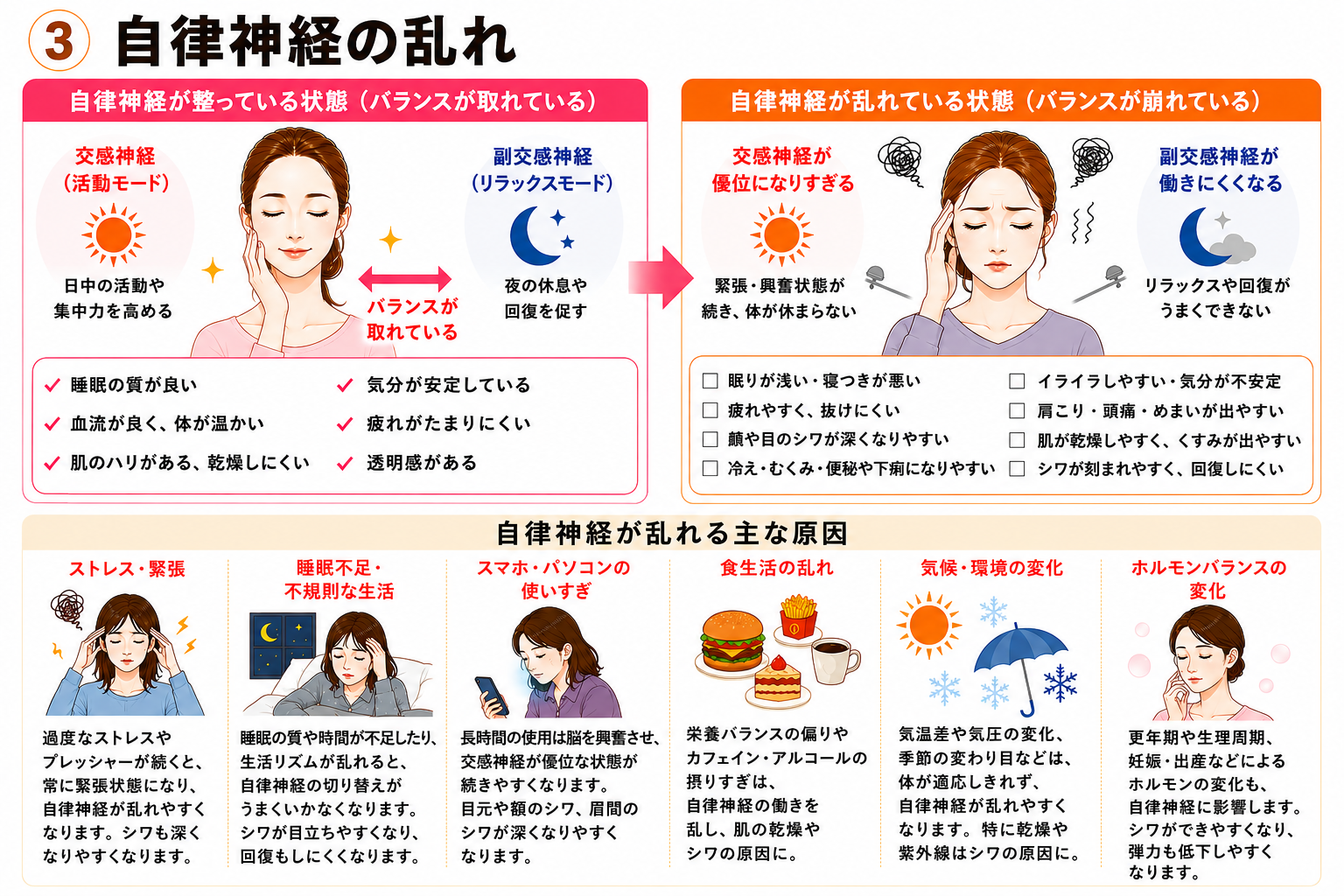 自律神経と睡眠・緊張・巡りの関係