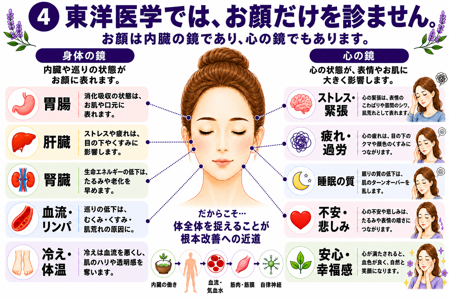 東洋医学の視点から顔と身体や心のつながりを示す図解