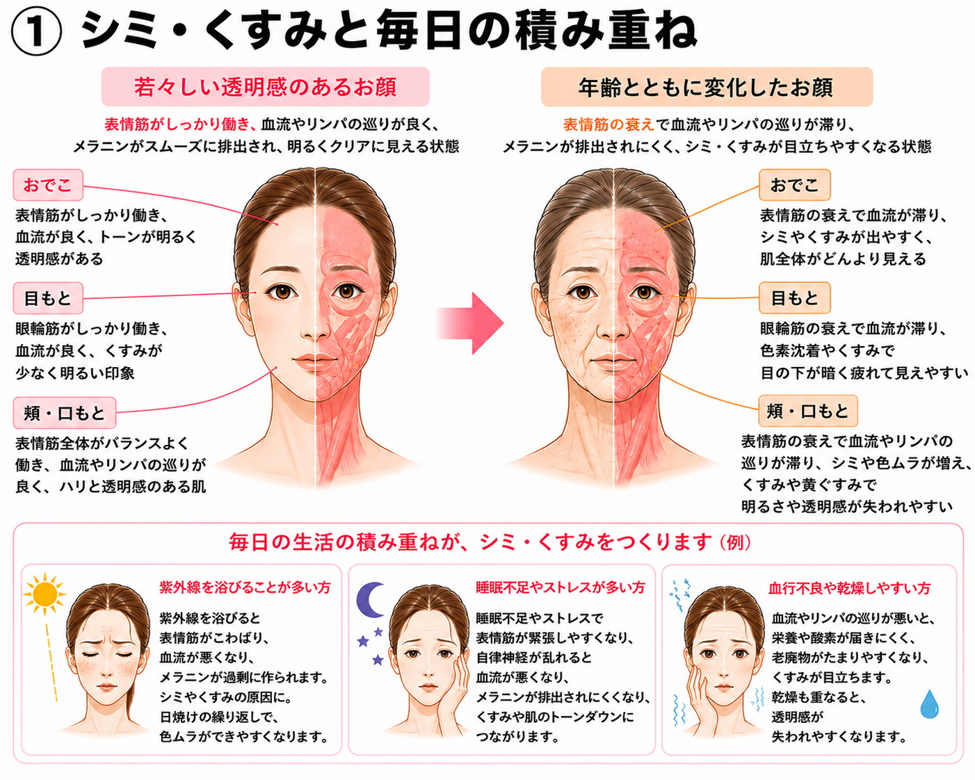 年齢や生活の積み重ねとシミ・くすみの関係