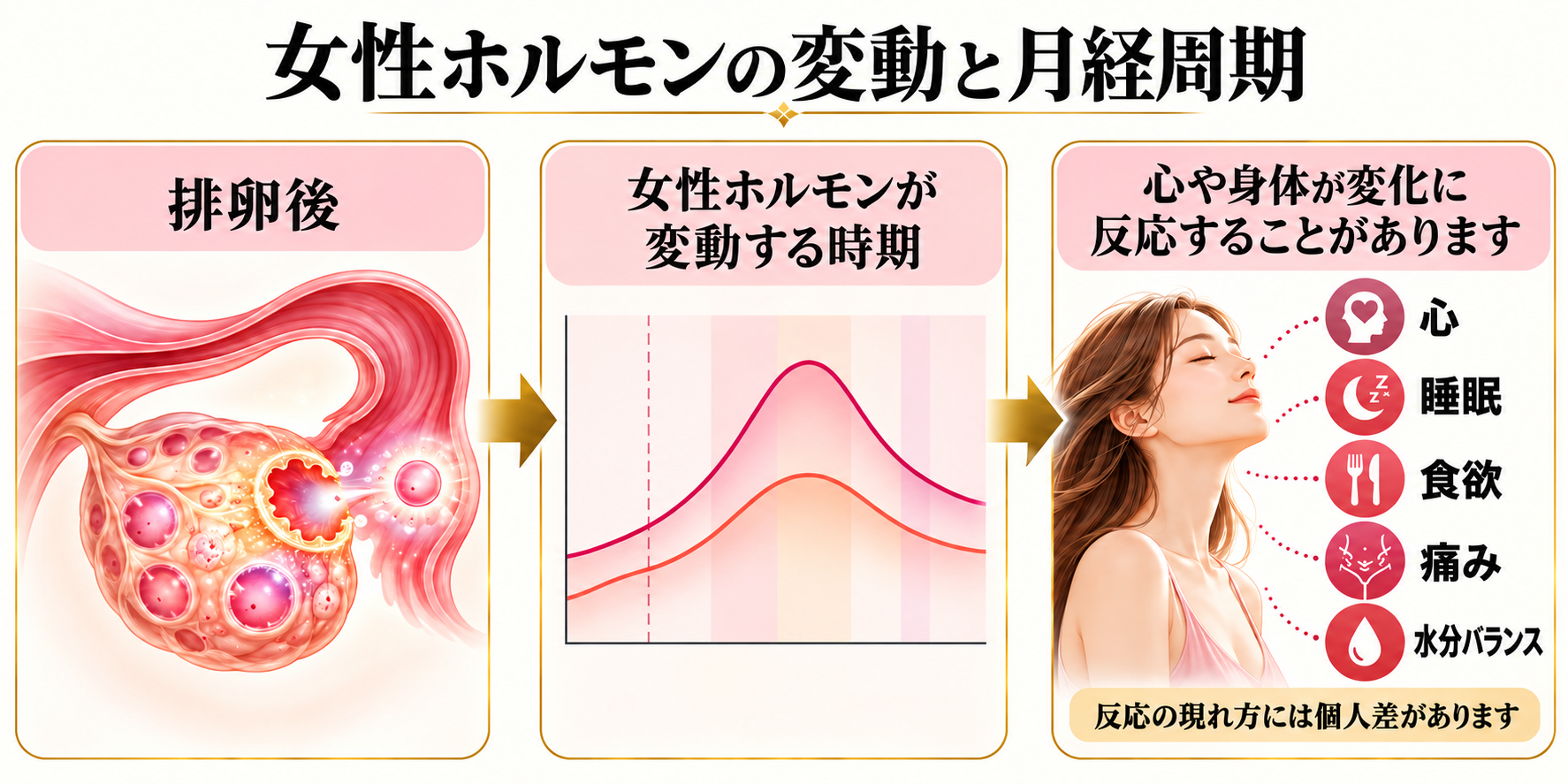 月経周期の中で起こる女性ホルモンと心身の変化