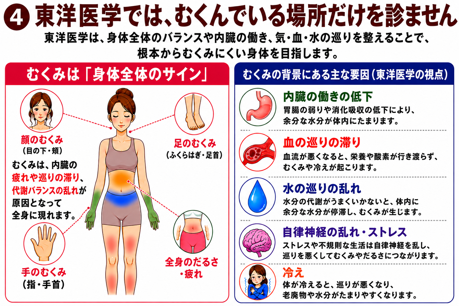 東洋医学から見た内臓、血と水の巡り、自律神経、冷えと全身のむくみのつながりを示す図解