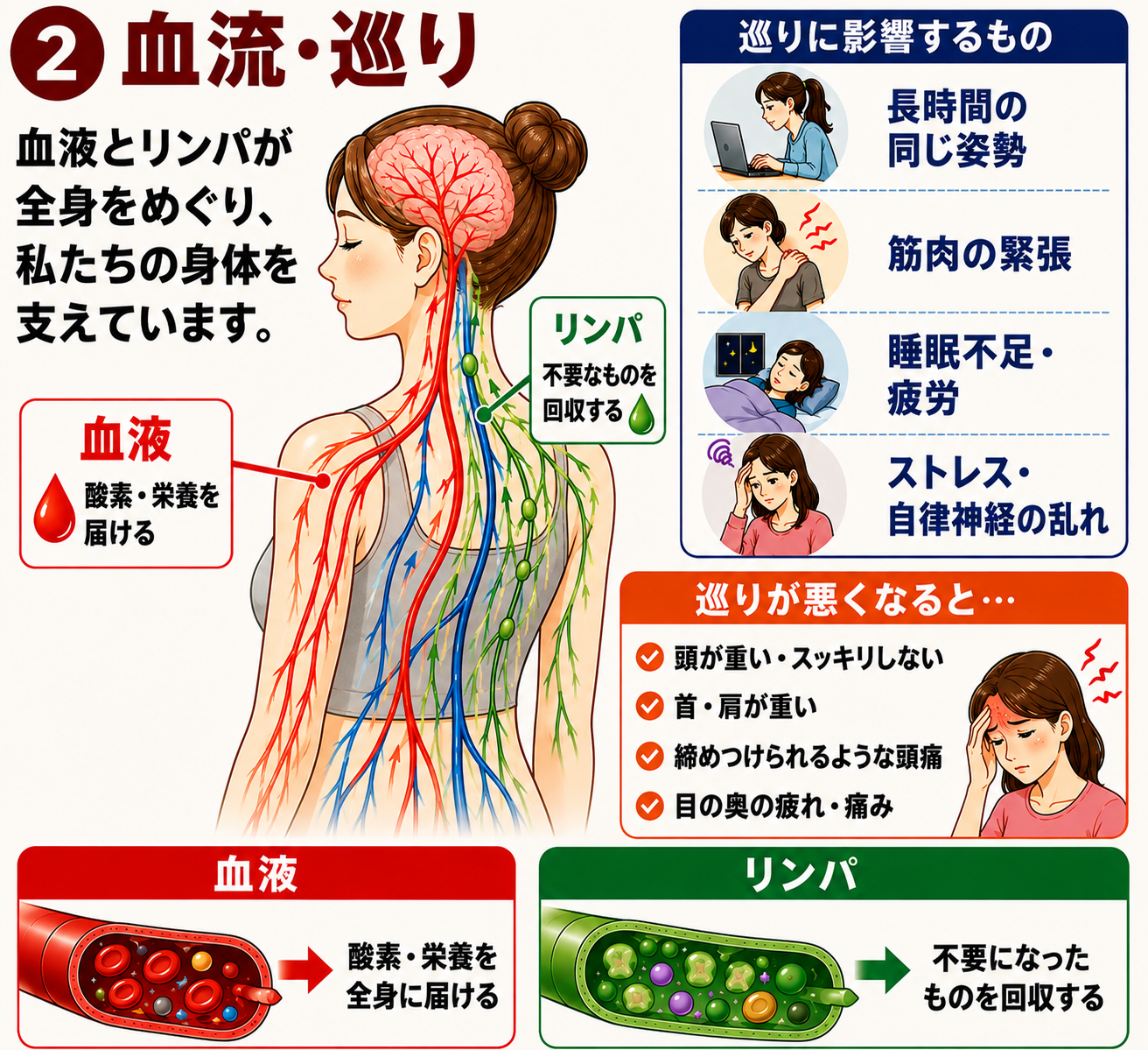 血流とリンパの役割、筋肉の緊張や生活習慣と頭痛の背景を示す図解