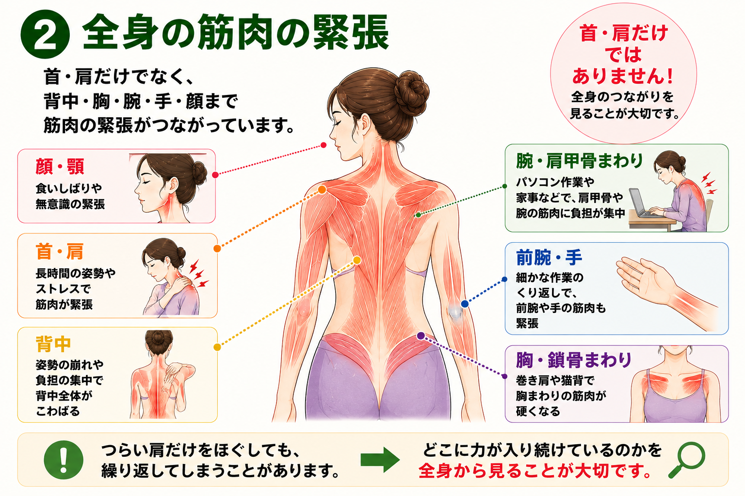 顔・顎・首・肩・背中・胸・腕・手に広がる全身の筋肉の緊張を示す図解