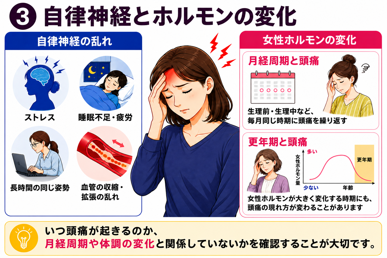 自律神経と女性ホルモンの変化、月経周期や更年期と頭痛の関係を示す図解