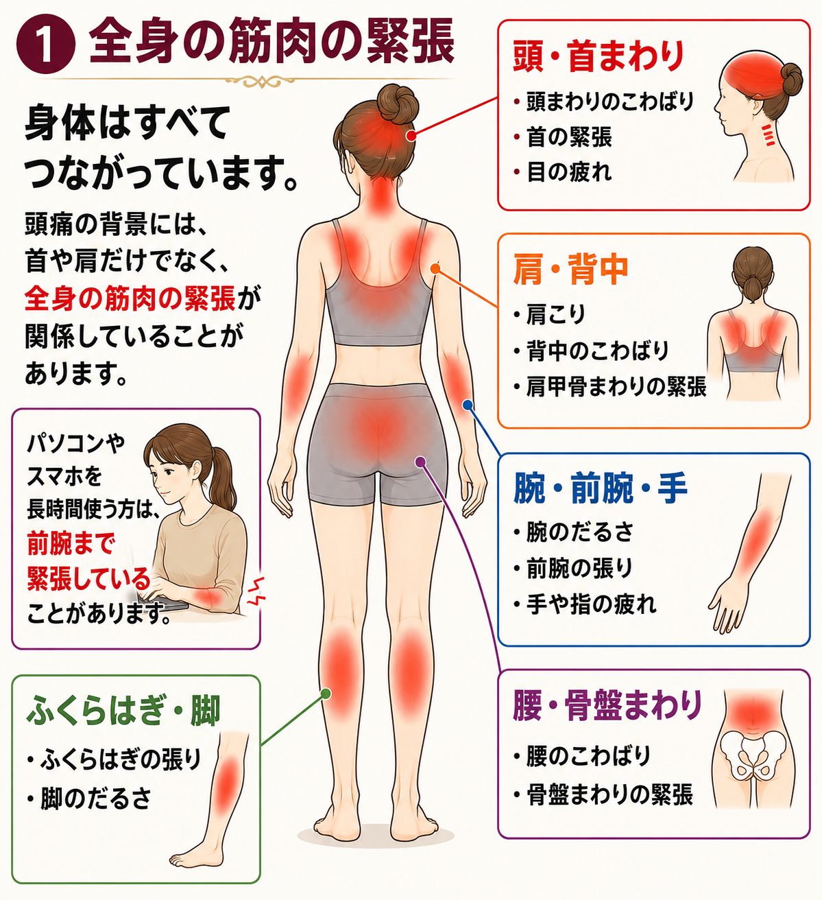 頭・首、肩・背中、腕・手、腰、ふくらはぎなど全身の筋肉の緊張と頭痛の背景を示す図解
