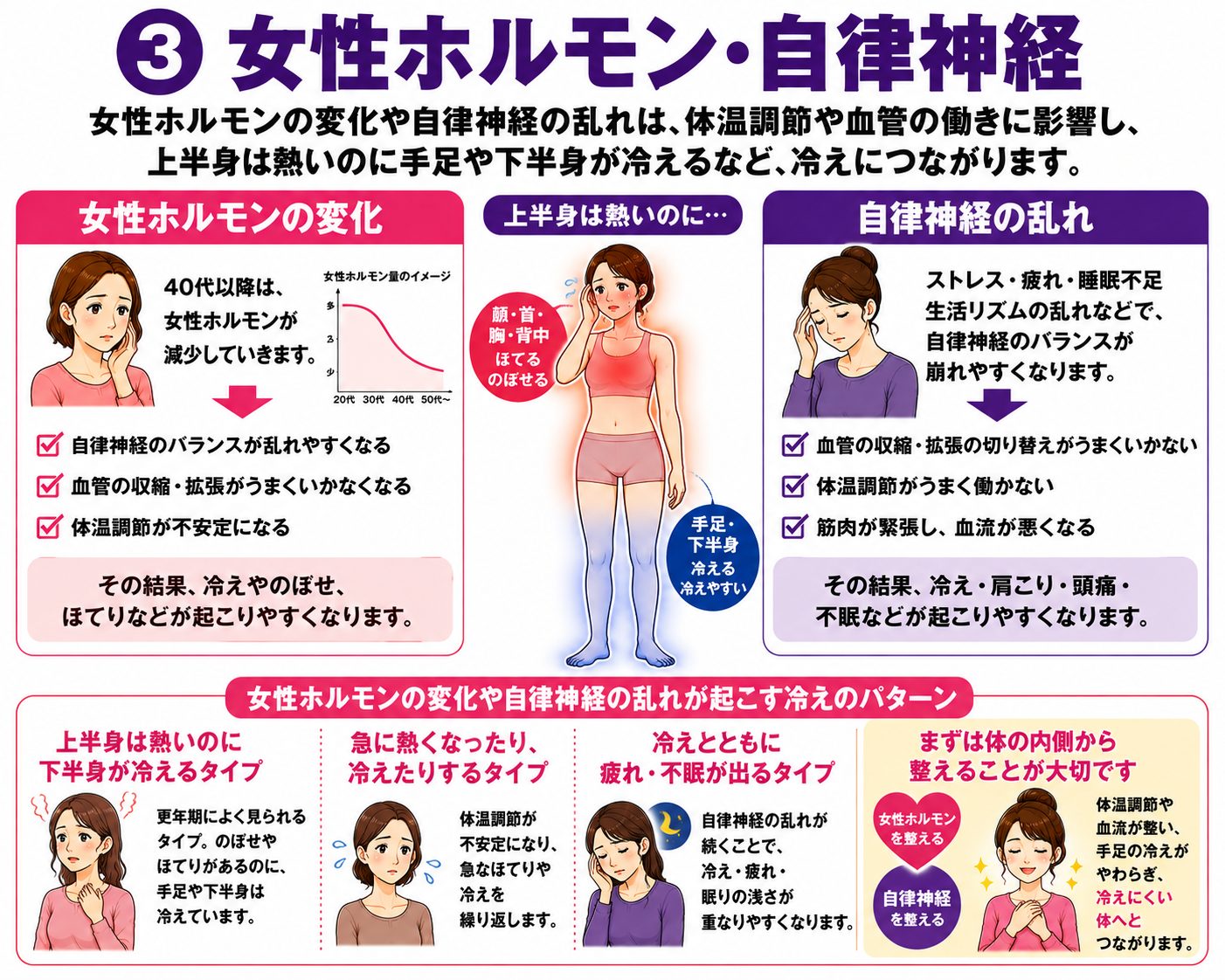 女性ホルモンと自律神経が体温調節に関係する図