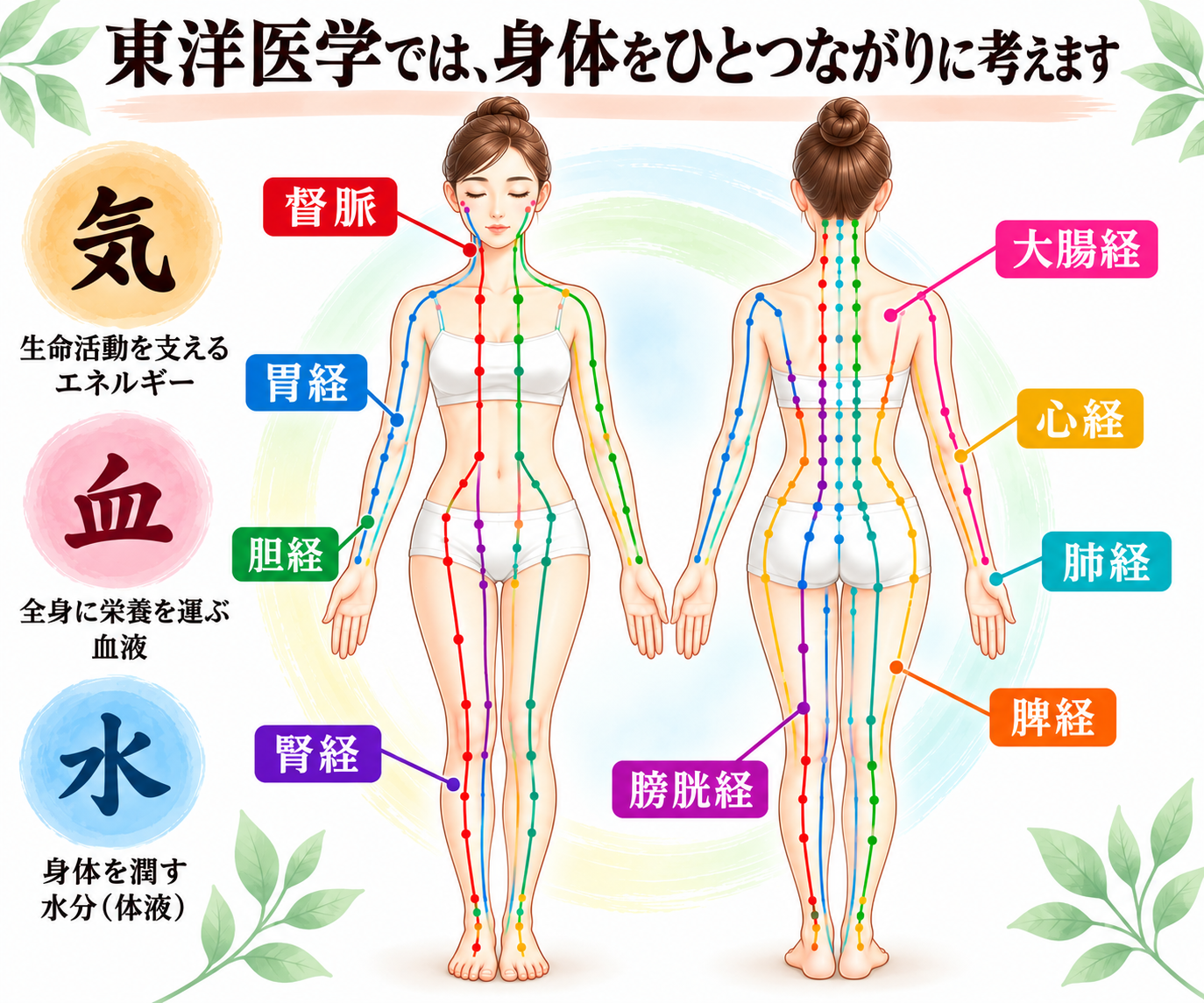 経絡と経穴を通じた身体全体のつながりの図